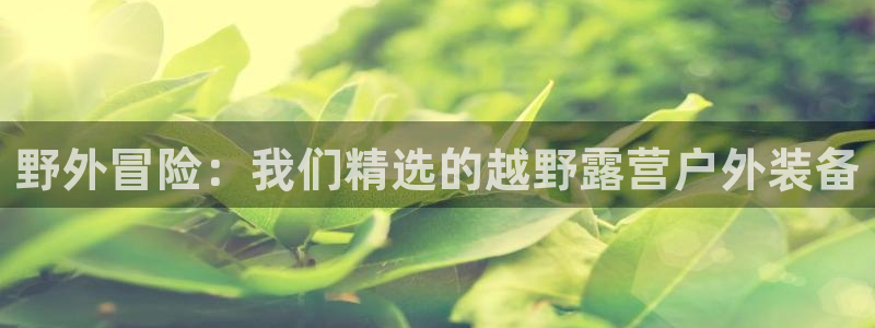 必一运动体育网页版在线登录